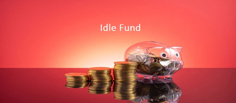 What Is Idle Fund? 5 Best Usage Of This Idle Fund To Make Profit