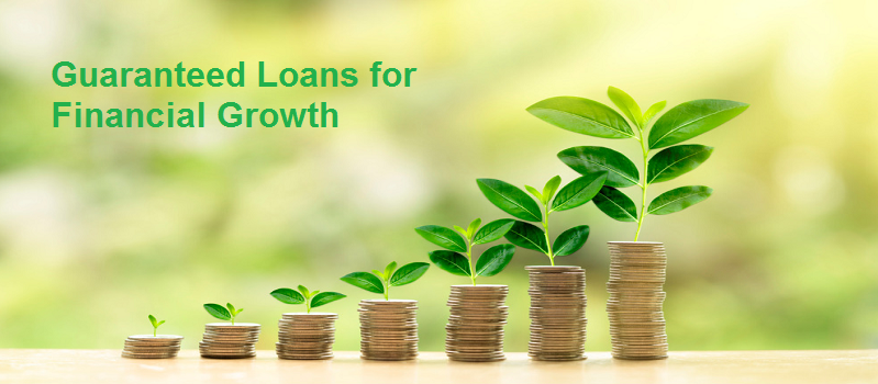 Exploring the World of Guaranteed Loans for Financial Growth